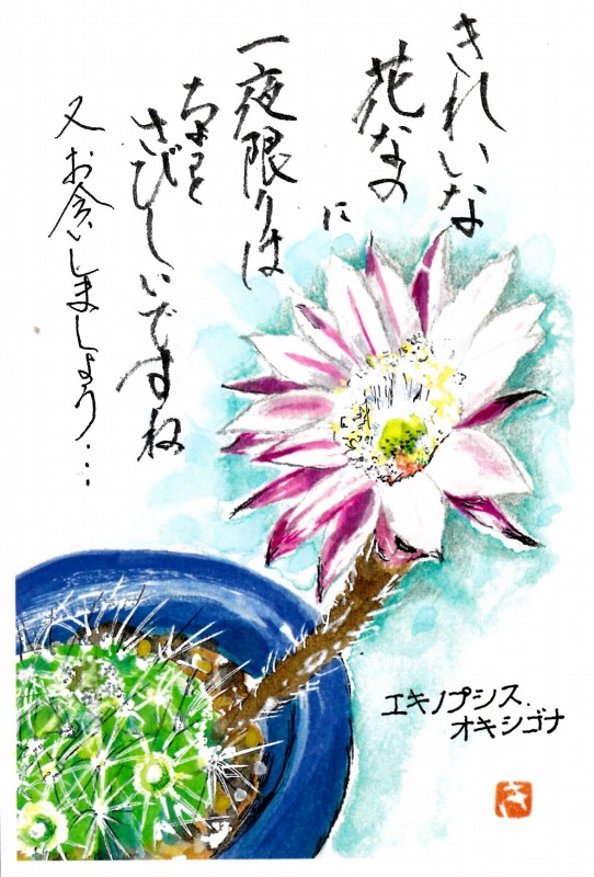 [04]